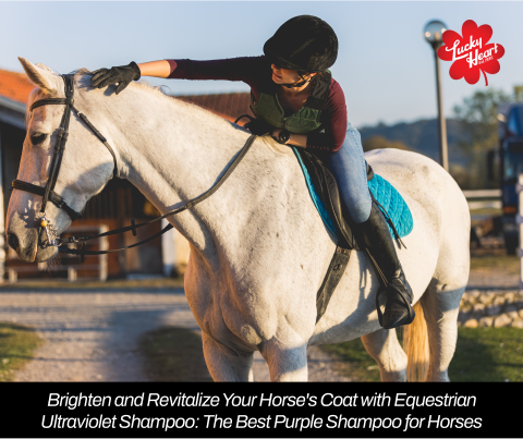 Brighten and Revitalize Your Horse's Coat with Equestrian Ultraviolet Shampoo: The Best Purple Shampoo for Horses